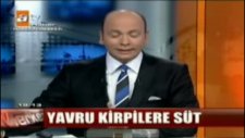 kirpilere baba şefkati