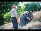 Ailem