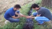 Dedeyazılı Gençler