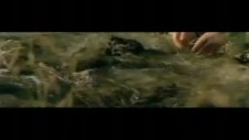 rammstein - ohne dich