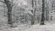 sevgi çelebi kartaneleri şiir