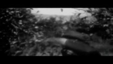 Aşık Veysel - Dostum Beni Niçin Zâr İncitirsin