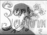 Soner Aldemir - Kurşun Gibisin Pop Slow