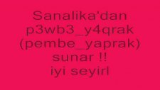 sanalika çocuk kaçırma filmi izleyin