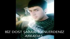 Biz Dost Şarabı İçenlerdeniz Arkadaş