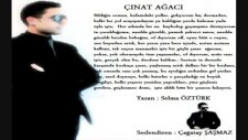 çağatay şaşmaz - çinar ağaci