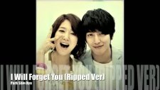 heartstrings -ost- ı will forget you ripped ver park shin hye