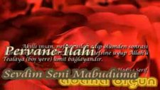 Pervane Sevdim - Seni Mabuduma