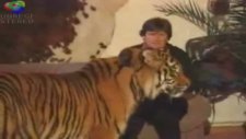 aslan-lion sahibine saldırıyor 18 ve üzeri izleyebilir