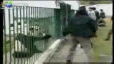 panda saldırıyor 18 ve üzeri izleyebilir