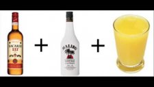 Caribou Lou