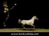 Sertap Erener --- Here I Am ---
