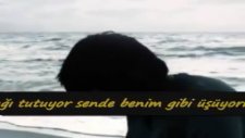 seni nasıl sevdim biliyor musun şiir