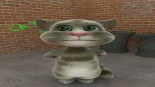 bayburt'lu kedi
