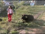 Başköy Video