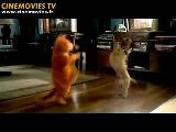 Garfield’den Bir Gösteri