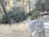 Marmaris