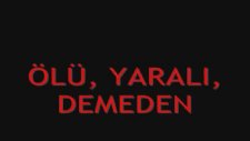 kısacık ömürlerinde bile gerçek bir cehennem yaşatılan tüm köpeklere adanmıştır