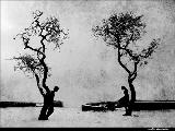 Ayşegül - Ordunun Dereleri Ayşegül - Ordunun Dereleri