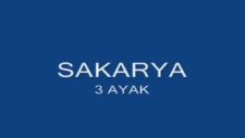 3 ayak