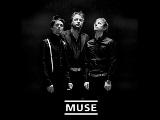 Muse - New Born Muse - New Born