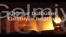 Çığrışır Bülbüller