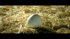Teb Kobi Bankacılığı Reklam Filmi