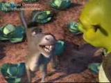 Çorumlu Shrek
