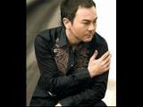 Serdar Ortaç - Darmadağın (2008)