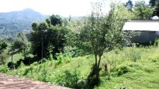 Manzara