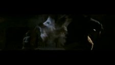 dangerous beauty the women of 'the forbidden kingdom' fragmanı 5