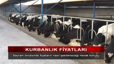 konya'da kurbanlık fiyatları