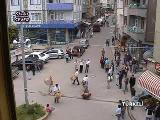 Davulzurna İle Türkeli - 4