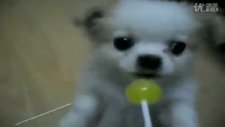 lolipop ancak bu kadar tatlı emilirdi