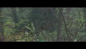 Kardeş Türküler - Güldaniyem Kardeş Türküler - Güldaniyem