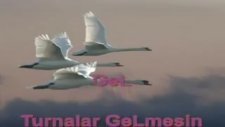 Cevdet Bağca - Gel