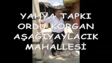 Aşağı Yaylacık Mahallesi