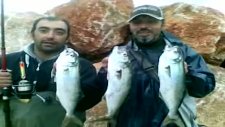 Levrek&lüfer At-Çek Avı