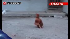 türkiye bu tavuğu konuşuyor!