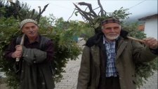 Karakrtlu Selo Adil Ve Habil