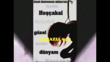 sadece ben seni sevdim