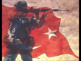 Bordo Bereliler & Sas & Sat
