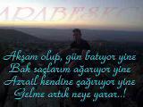 veysel uluagac neye yarar ! damar arabesk by arabe