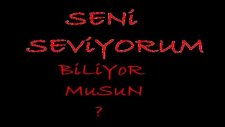 seni ben kimseye vermem