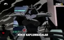 Ninja Kaplumbağalar 1. Sezon 19. Bölüm