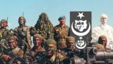 Bordo Berelıler Ve Sas Sat Komandoları