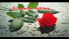 Çelik - Hercai (gel yarim ol sevdalim ol dertlerimin dermani ol sultanim)