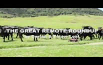rc round up