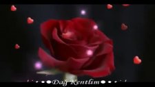 Ferhat Göçer Üzüm Dağ Kentlim