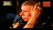 tolga sag dilo